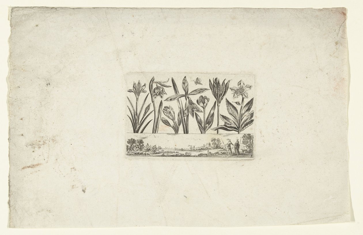 Rij bloemen boven landschap Bloemen en landschappen (series title)   1375575   cs       czech Successfully Translated  Original: Civil War Scene Translat: Civil War Scene 1336642 cs czech Successfully Translated Original: De liefdesbrief (original title) T od Cornelis Danckerts (I)