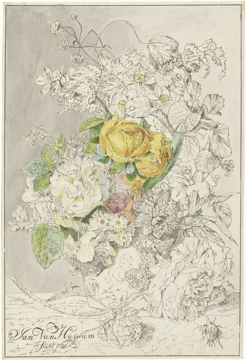 aranžování květin od Cornelis Ploos van Amstel (signed by artist)
