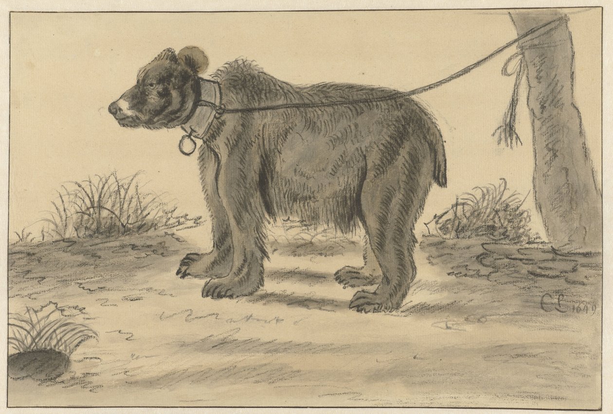 Medvěd přivázaný ke stromu od Cornelis Saftleven