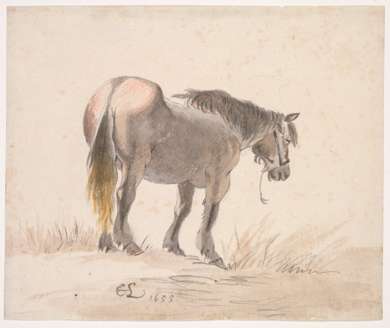 Osm váz, od "Raccol od Cornelis Saftleven