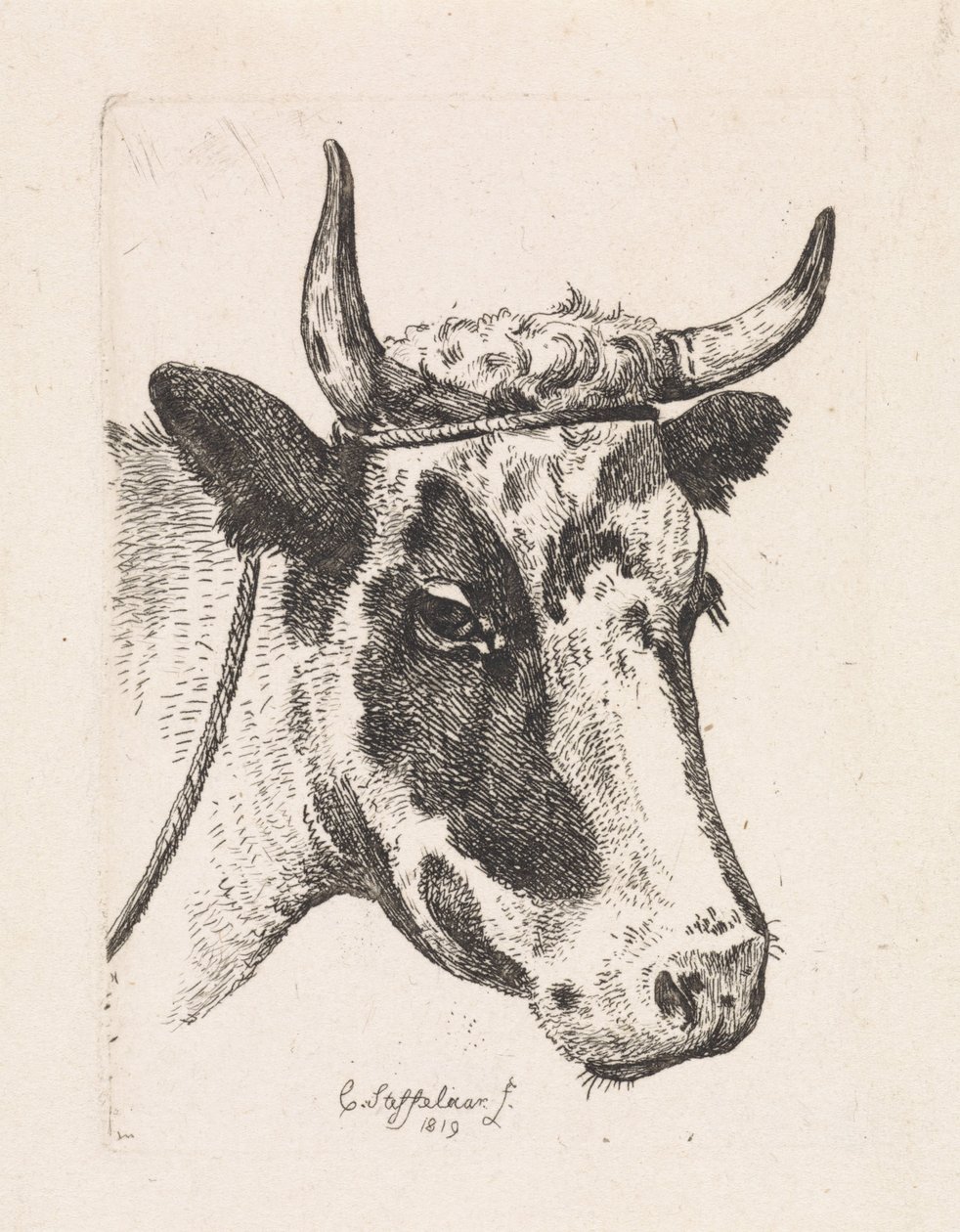 Hlava strakaté krávy První sada (název série) od Cornelis Steffelaar