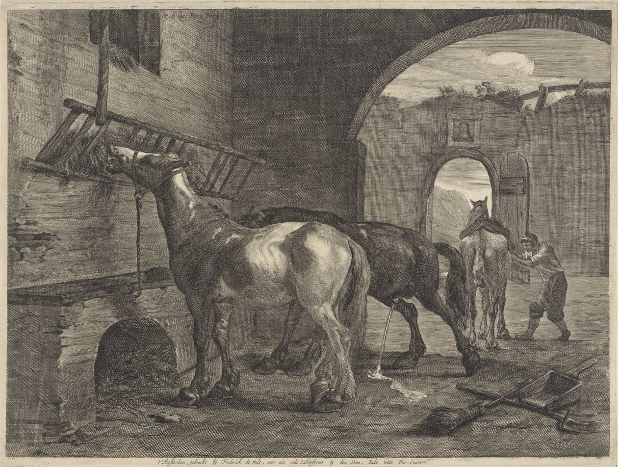 Stabilní od Cornelis Visscher (II)