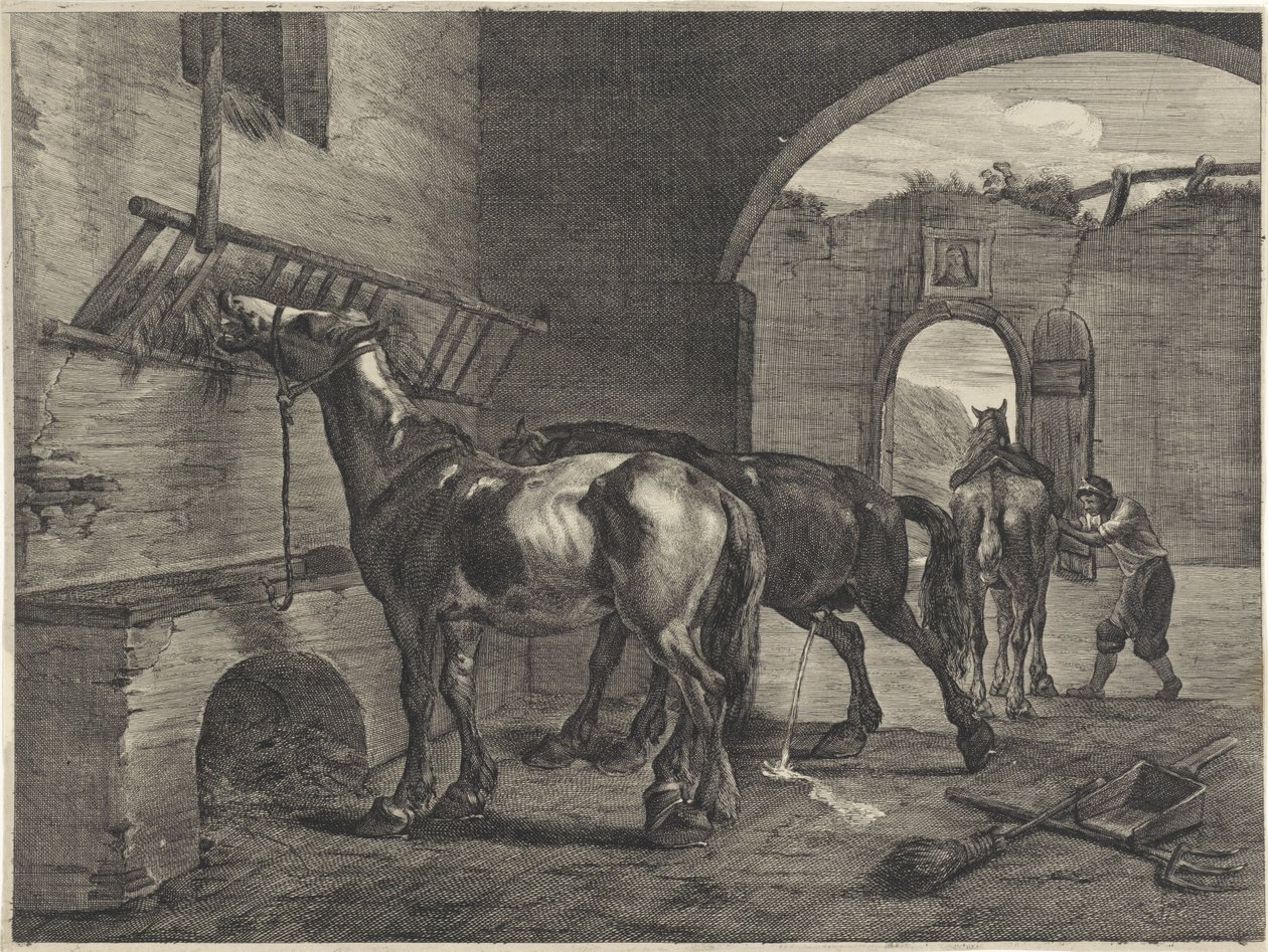 Stabilní od Cornelis Visscher (II)