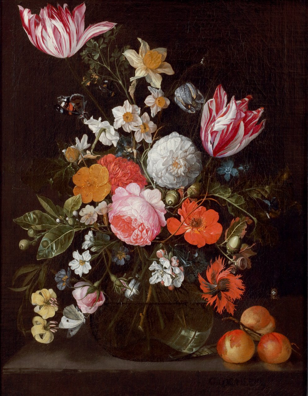 Květiny ve skleněné váze na kamenné římse s meruňkami od Cornelis de Heem