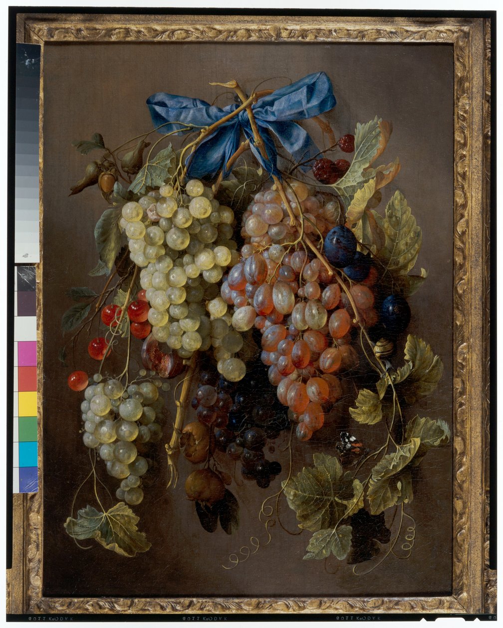 Zátiší z hroznů, třešní a švestek visící z hřebíku s modrou stuhou od Cornelis de Heem