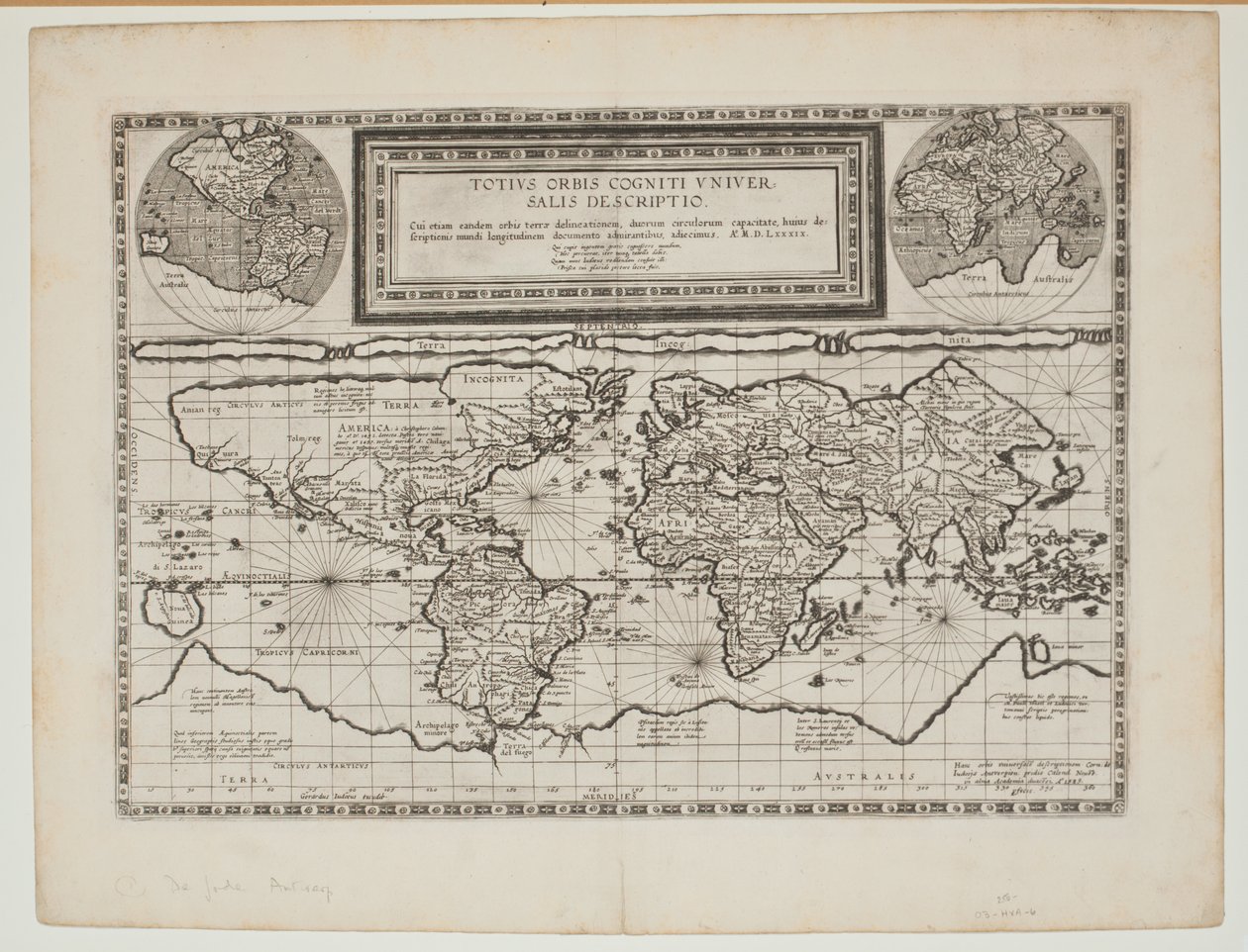 The World