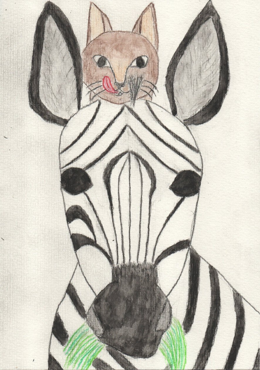 Můj přítel zebra od Crazy Artist