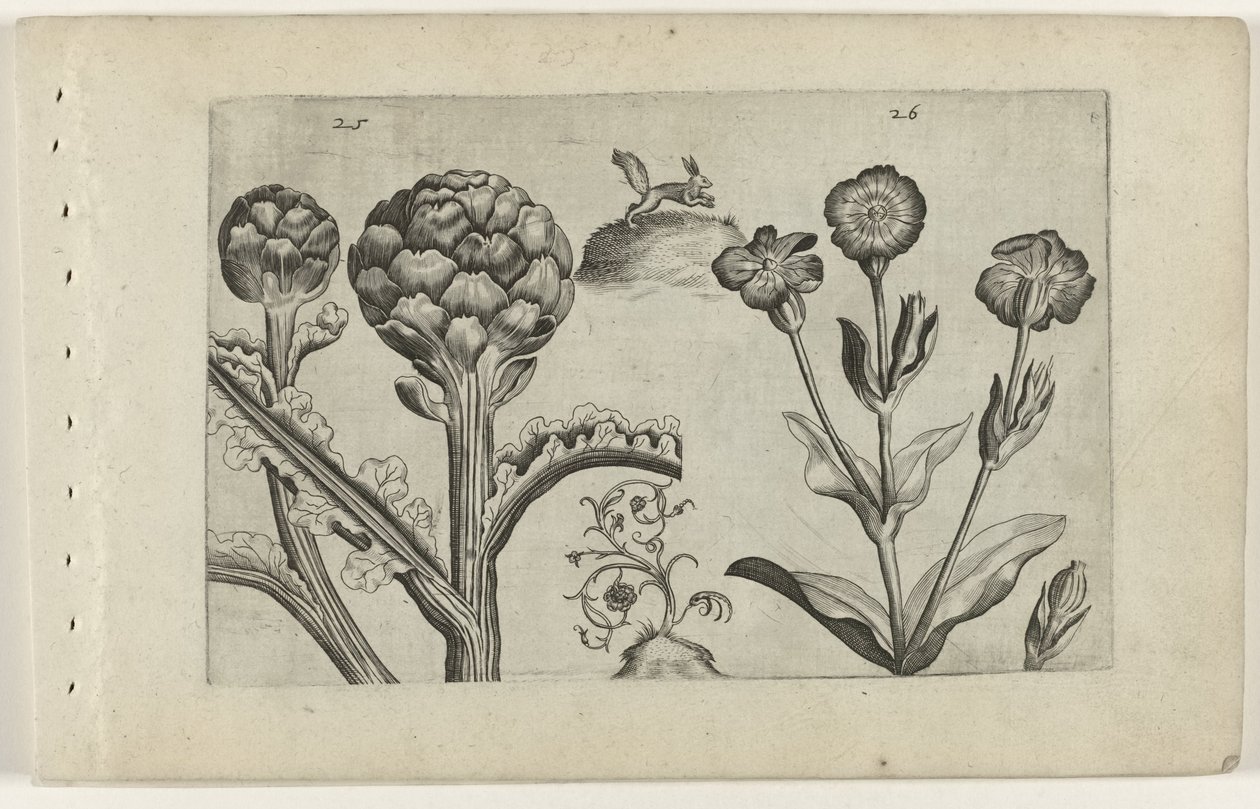 Artisjok en prikneus Know the Lilies (název série) od Crispijn van de Passe (I) (attributed to)