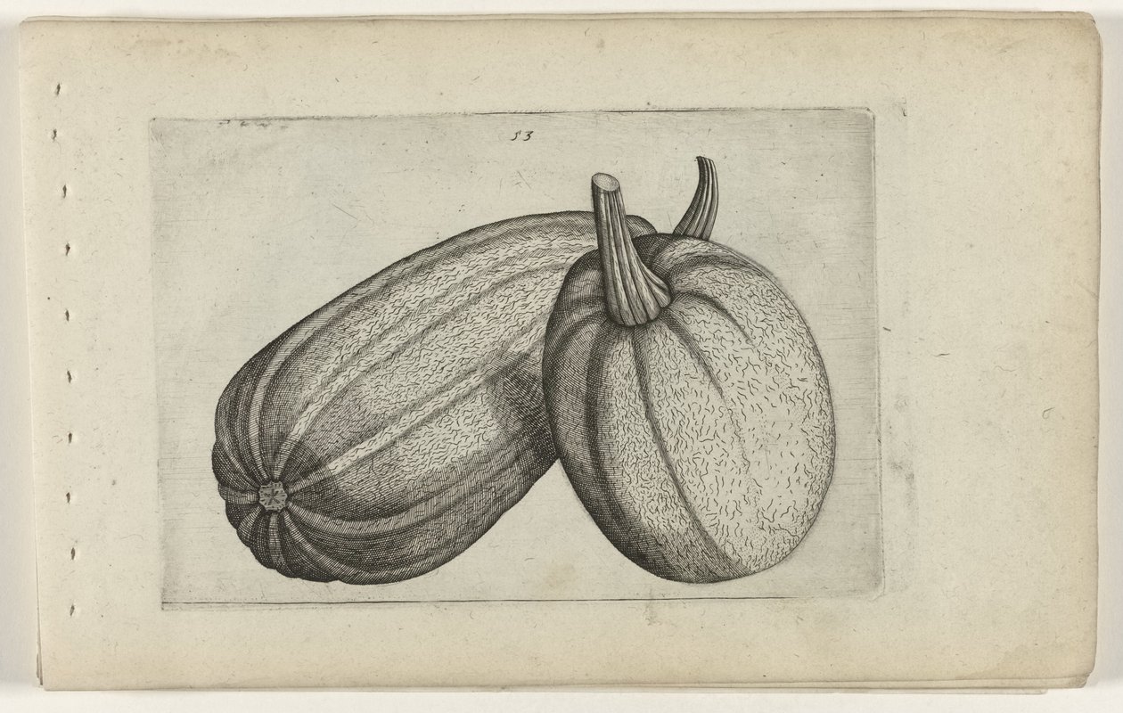 Dva melouny Know the Lilies (název série) od Crispijn van de Passe (I) (attributed to)