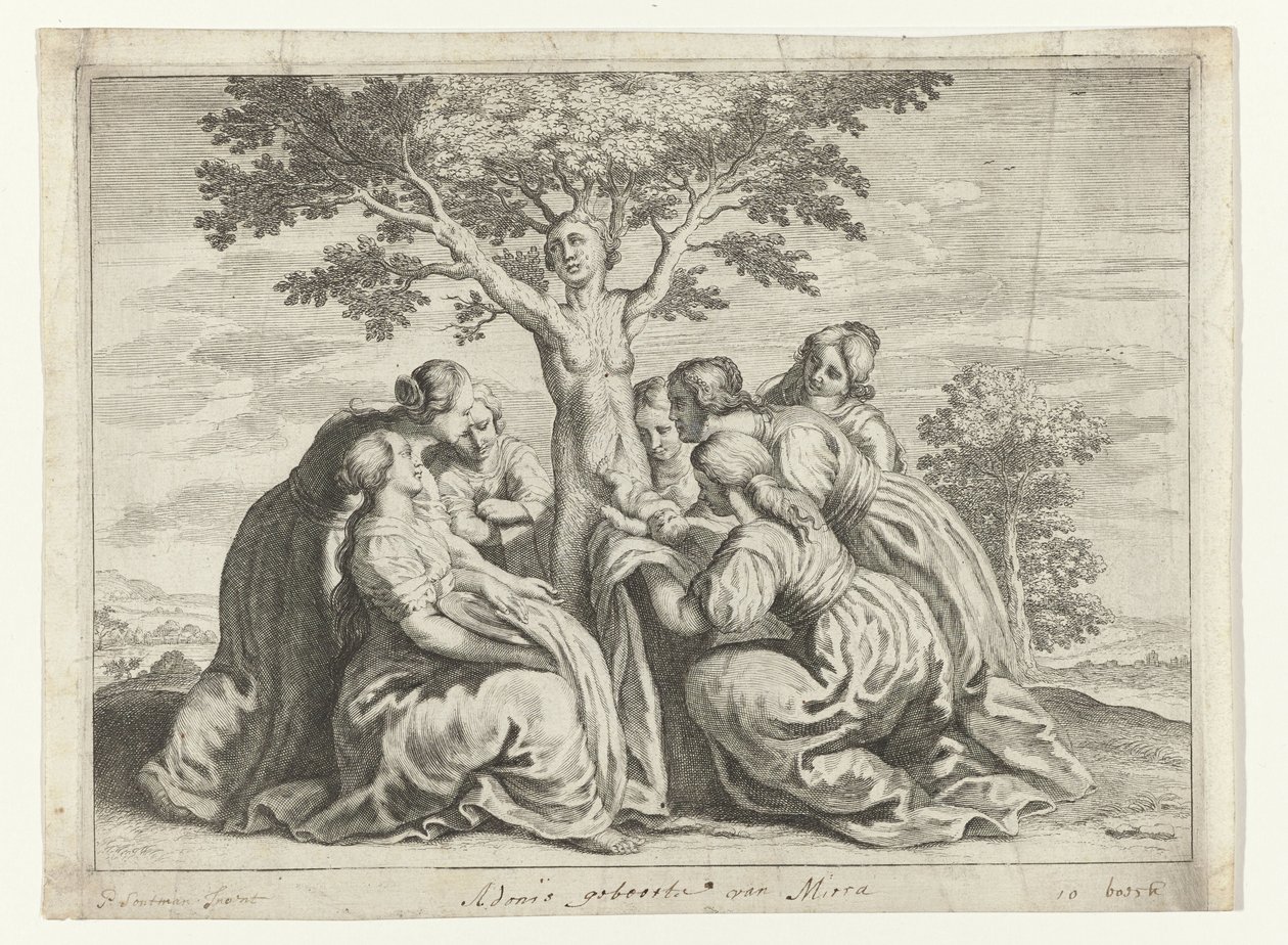Narození Adonise Metamorfózy Ovidia (název série) od Crispijn van de Passe (II) (workshop of)