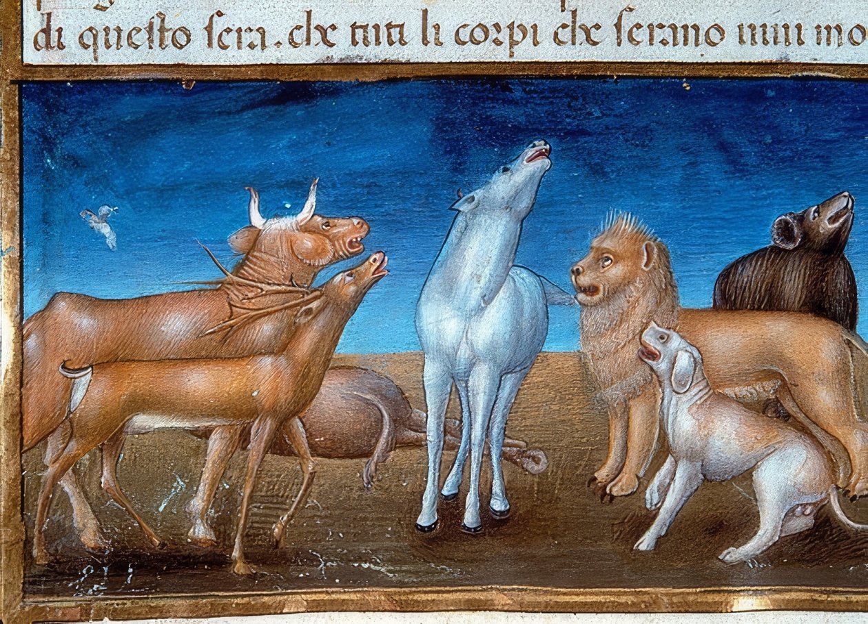Konec světa: a hvězdy budou padat z nebe a zvířata se budou bát (c.149v). 1476 od Cristoforo De Predis