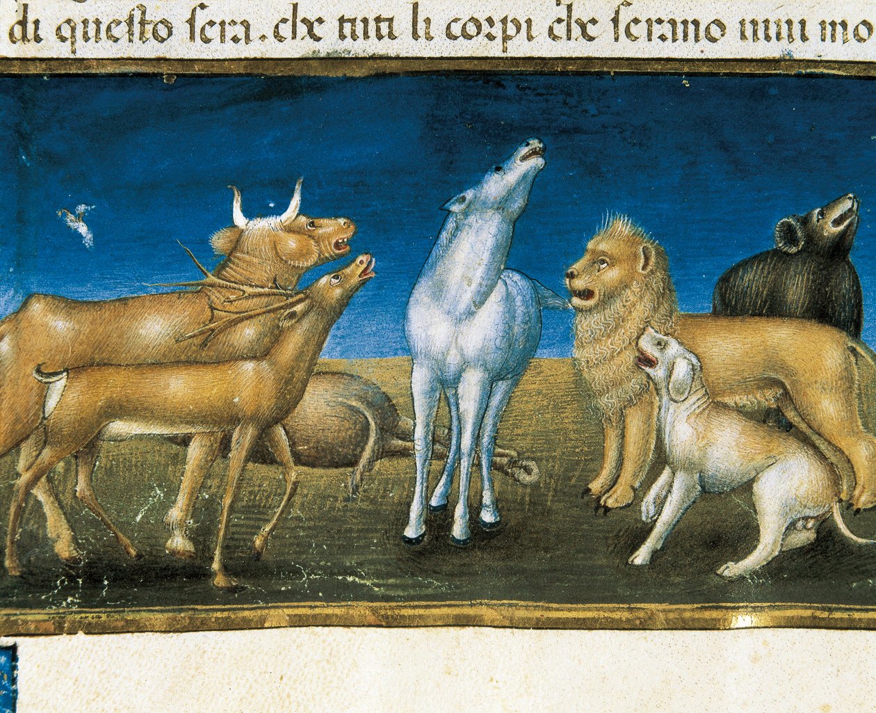 „Hvězdy budou padat z nebe před očima zvířat“ (miniatura) Miniatura od Cristofora De Predise (1440-1486) od Cristoforo De Predis