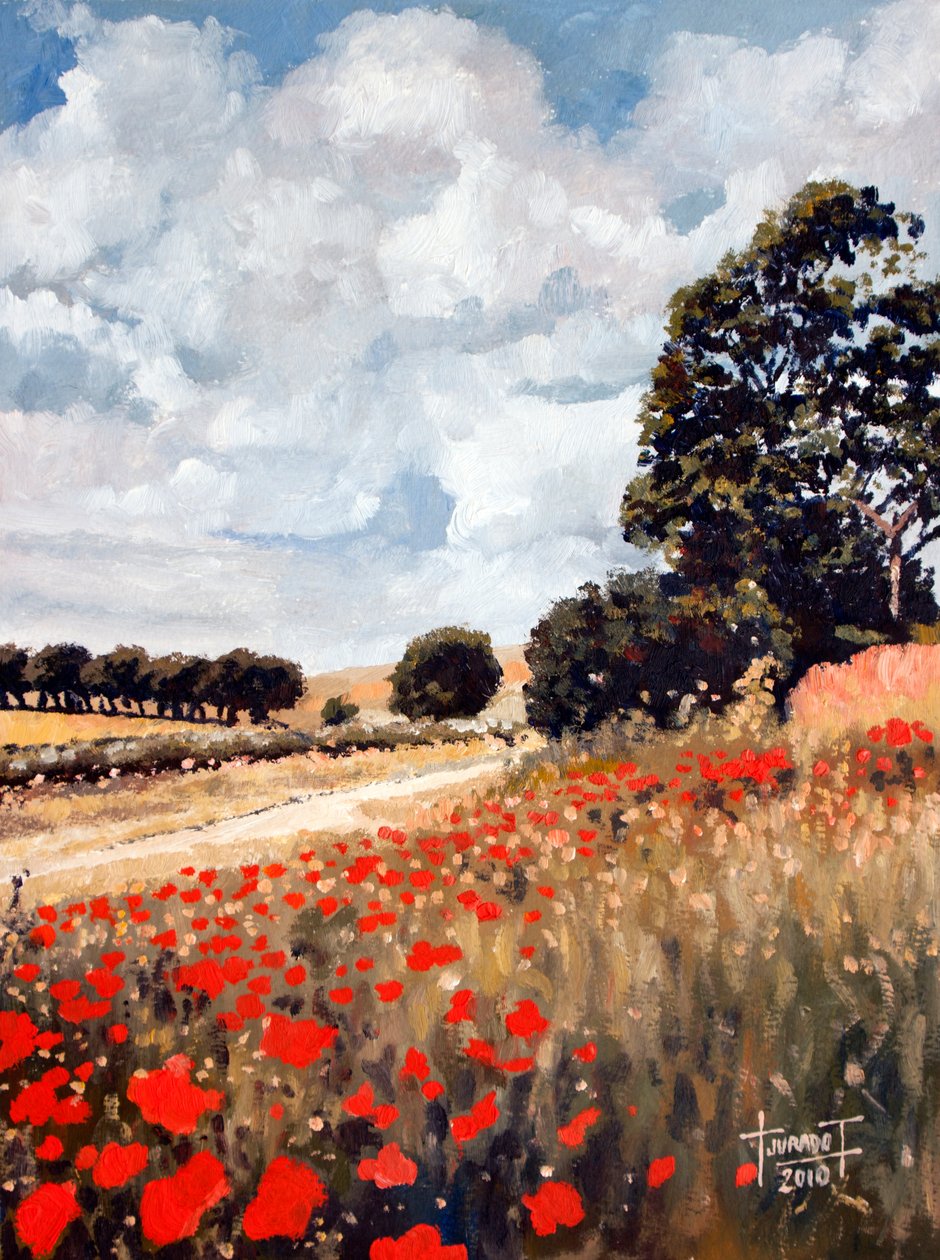 Divoké máky, Hertfordshire, 2010 (olej na papíře) od Cruz Jurado Traverso