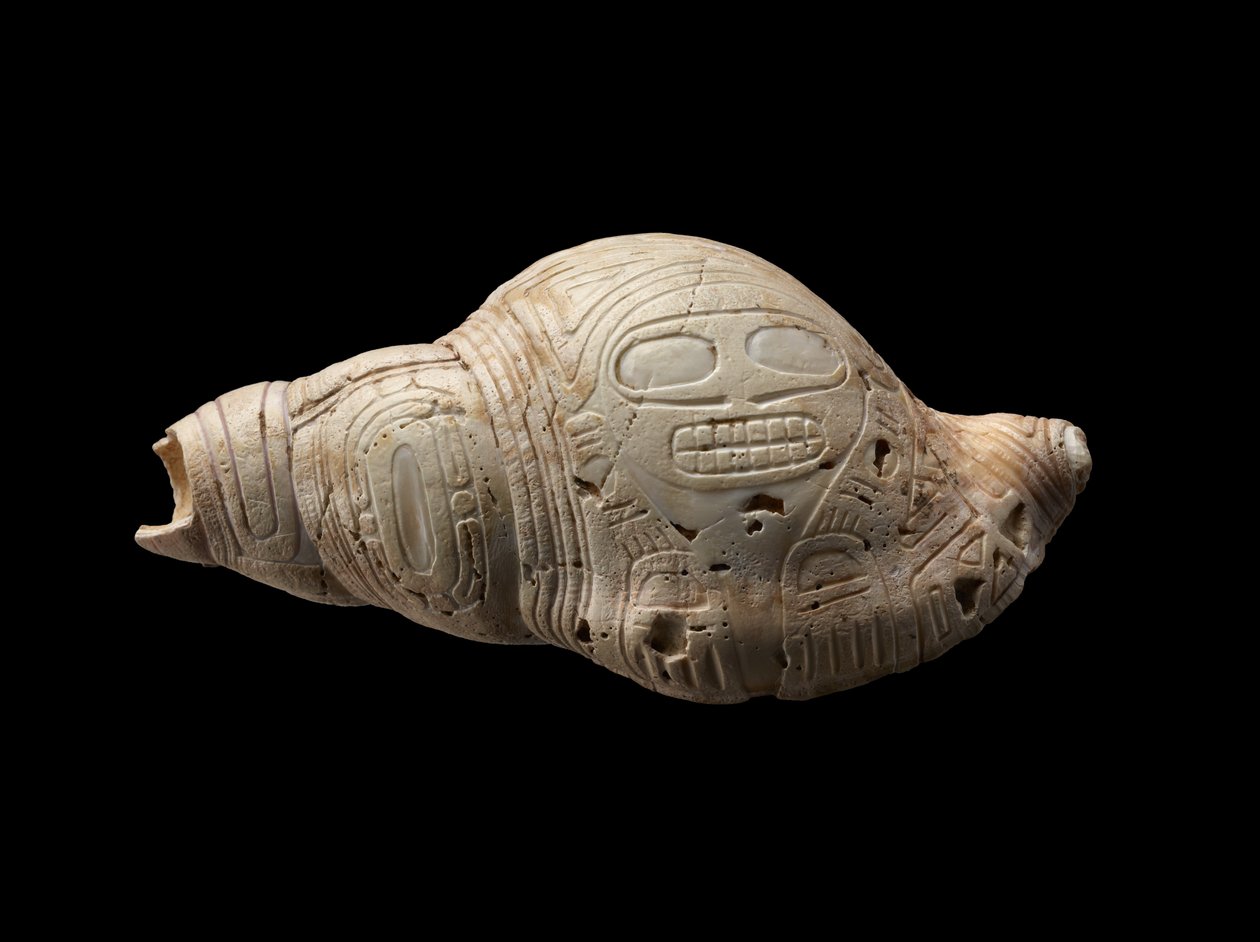 Vyřezávaná lastura od Culture Taino