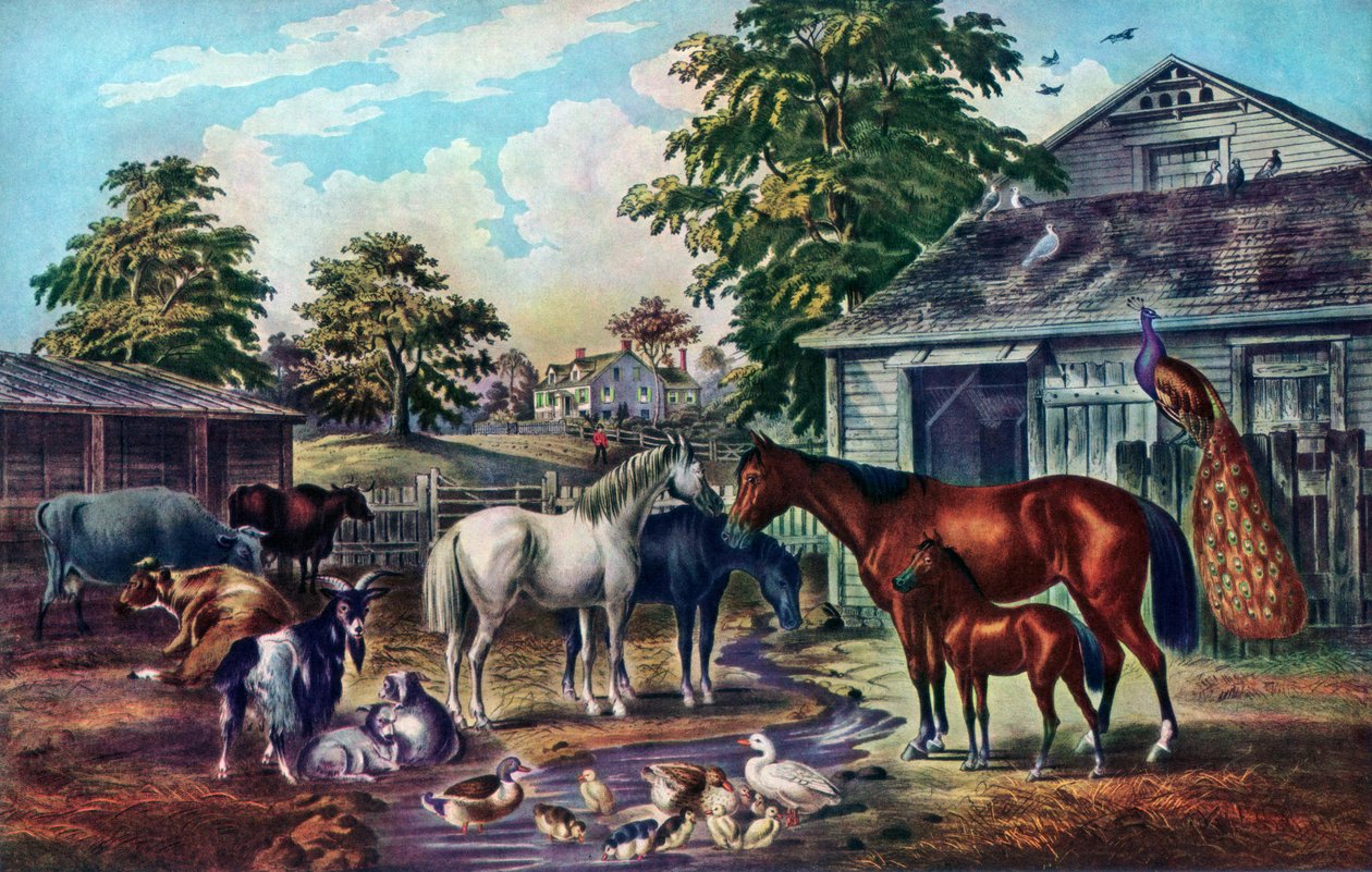 American Farm Yard v dopoledních hodinách, 1857 od Currier and Ives