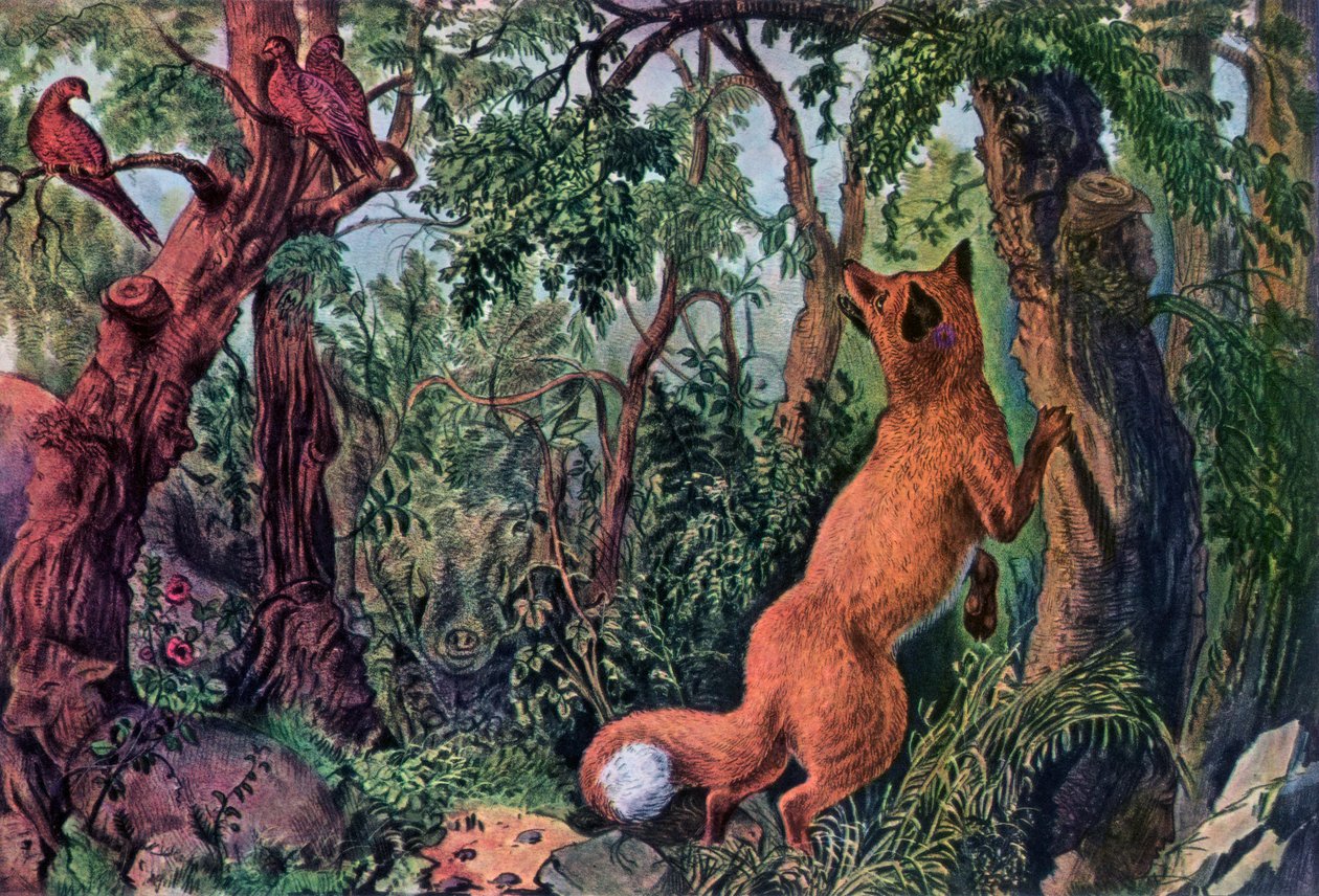 Zmatená liška, 1872. od Currier and Ives
