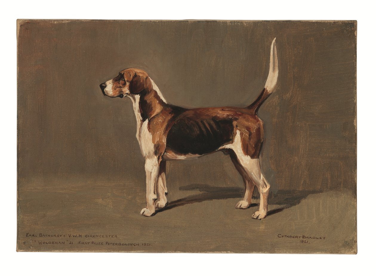 "Woldsman" od Cuthbert Bradley