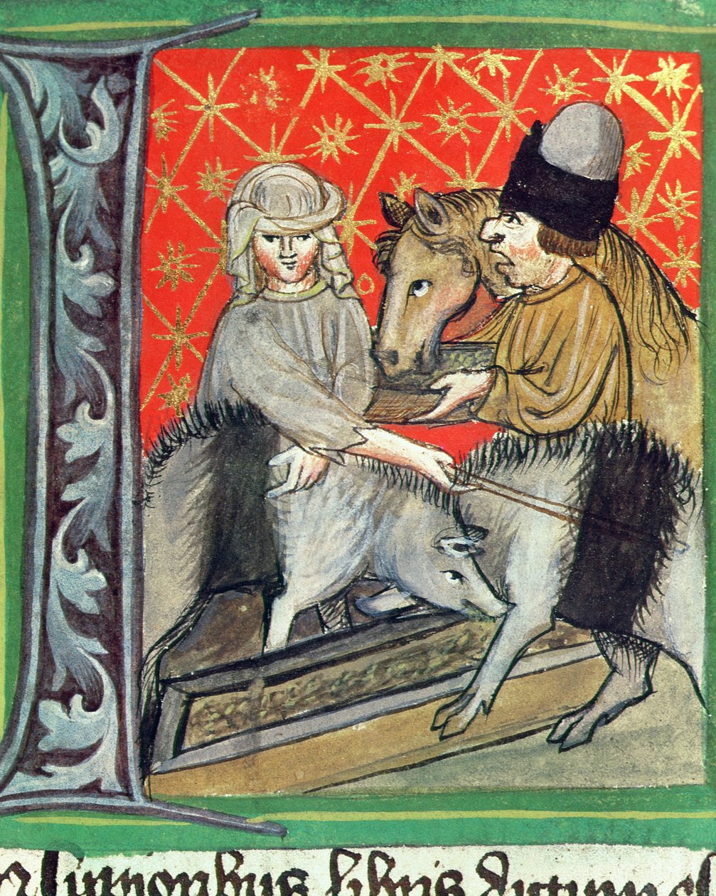 Chov prasat a koní, z Opus Rural Commodorum od Pietra de Crescenzi (1230-1321) od Czech School