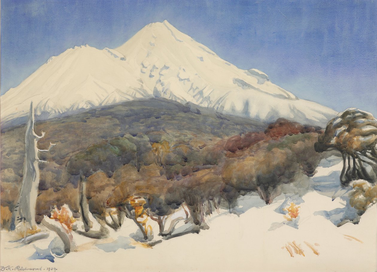 Mount Egmont od D. K. Richmond