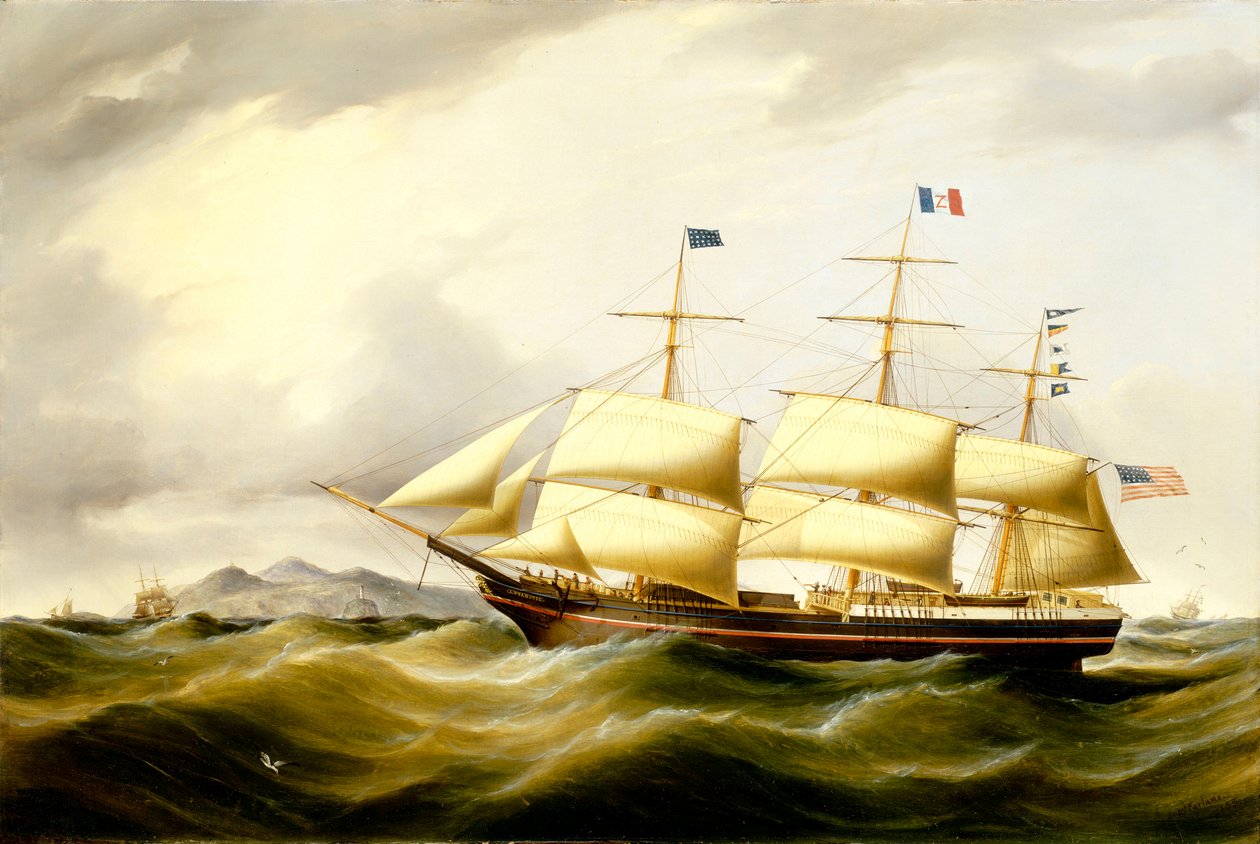 Balíček "Antarctic od D. MacFarlane
