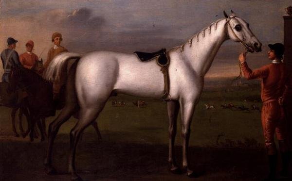 Ženich drží šedého závodního koně od D. Quigley