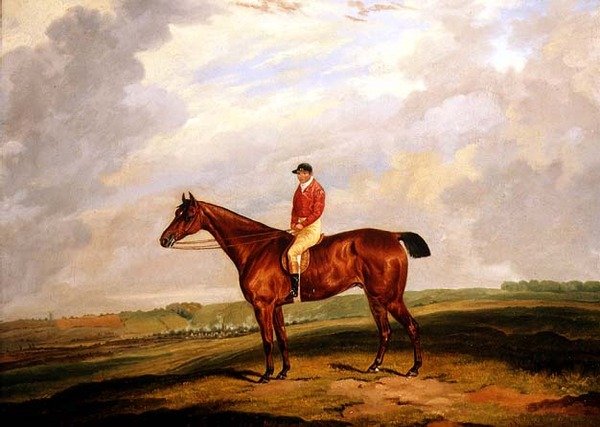 Dostihový kůň s Jockey Up od D. the Younger Wolstenholme