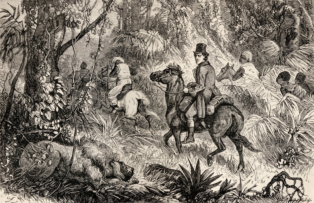 Mungo Park se setkal se lvem na cestě do vesnice Modiboo, 1825 od Dalziel Brothers