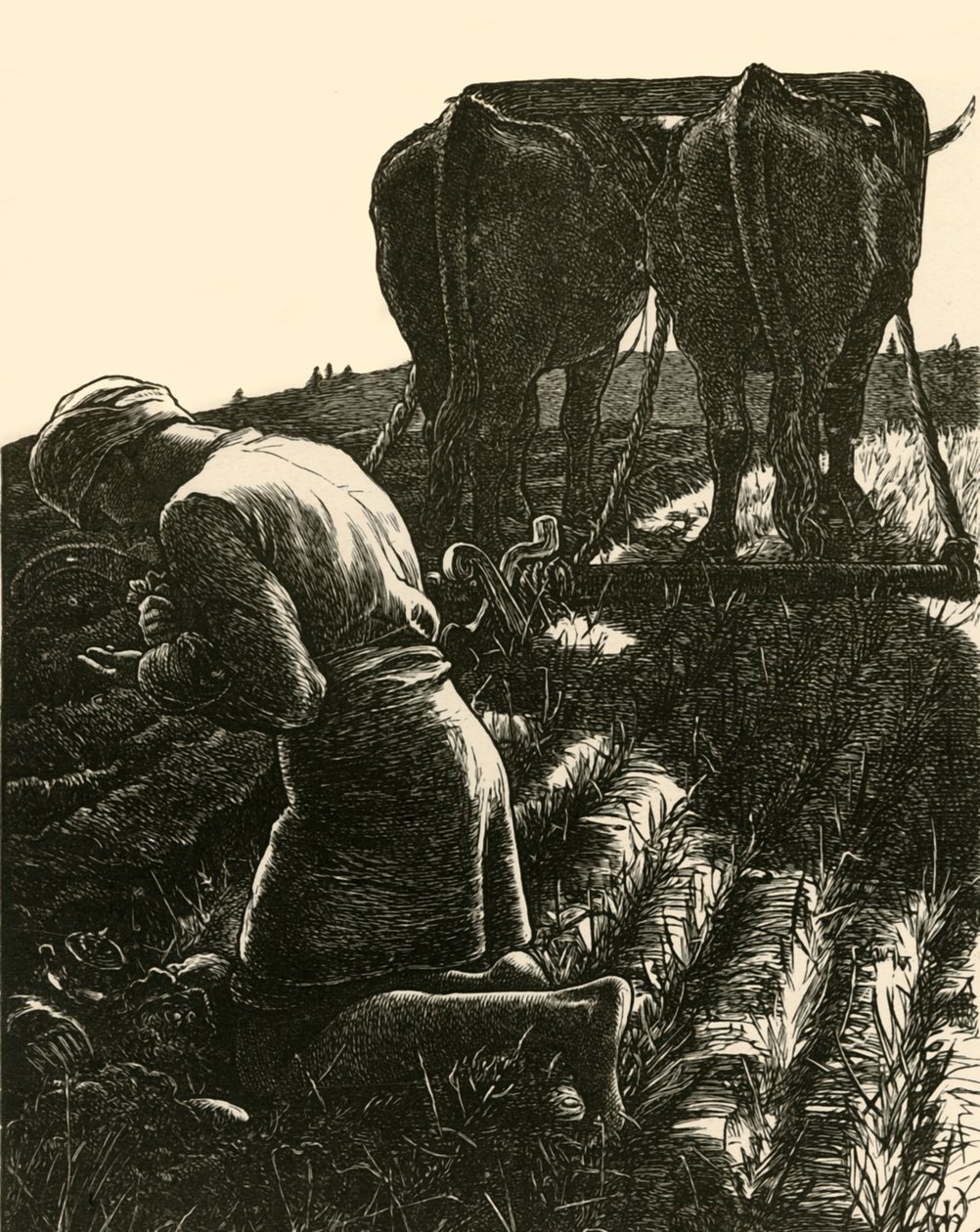 Skrytý poklad, 1864, 1928. od Dalziel Brothers