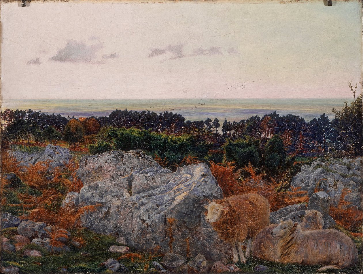 Morecambe Bay od Warton Crag od Daniel Alexander Williamson