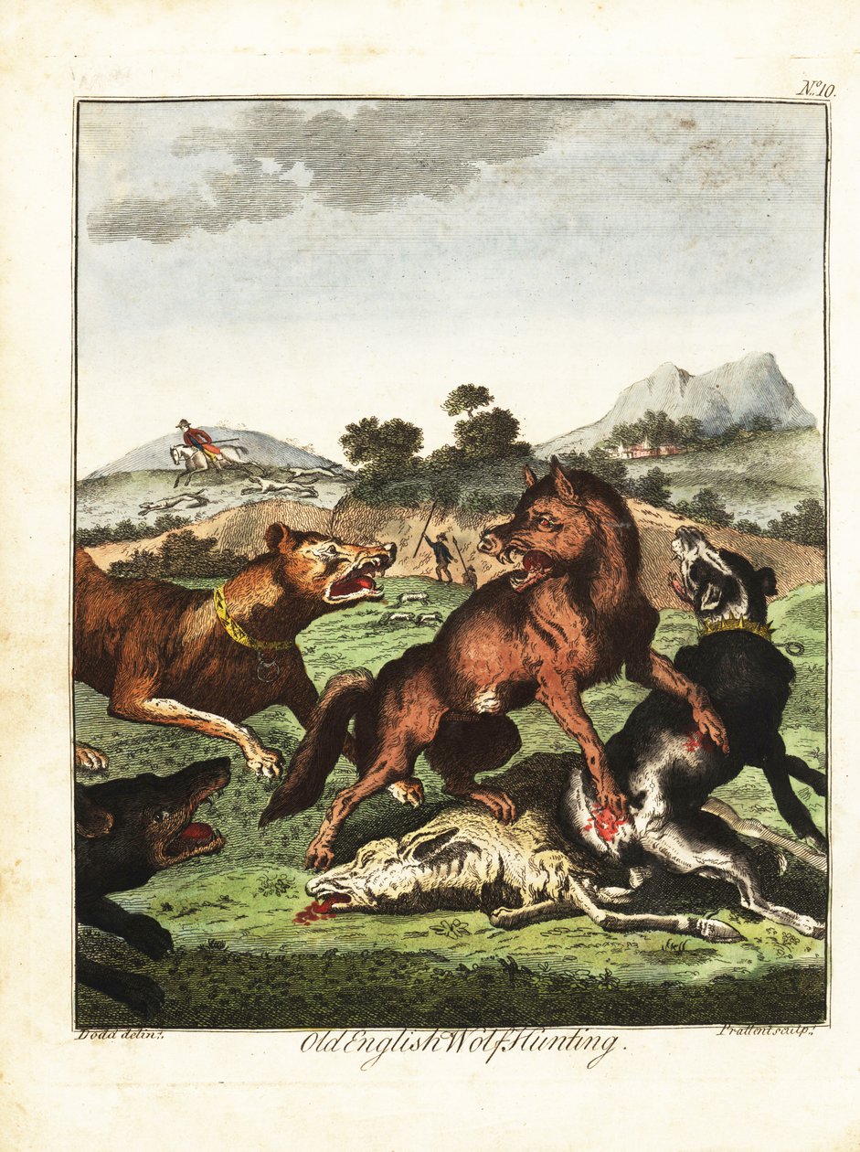 Starý anglický lov vlků. 1792 (rytina) od Daniel (after) Dodd