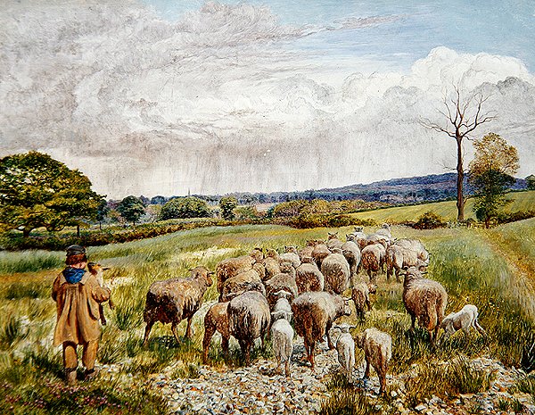 Jaro od Daniel Alexander Williamson
