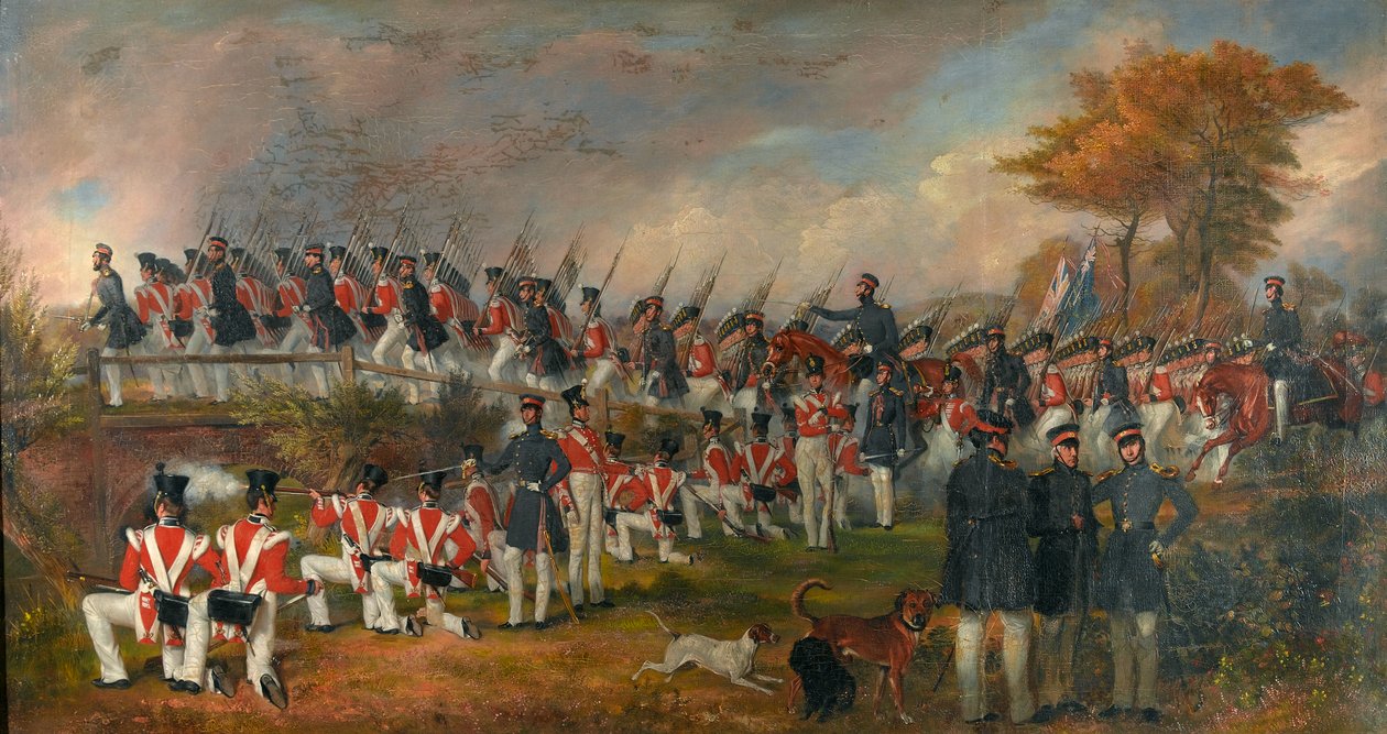6. (1. Royal Warwickshire) Regiment of Foot na cvičení v Portsmouthu od Daniel Cunliffe