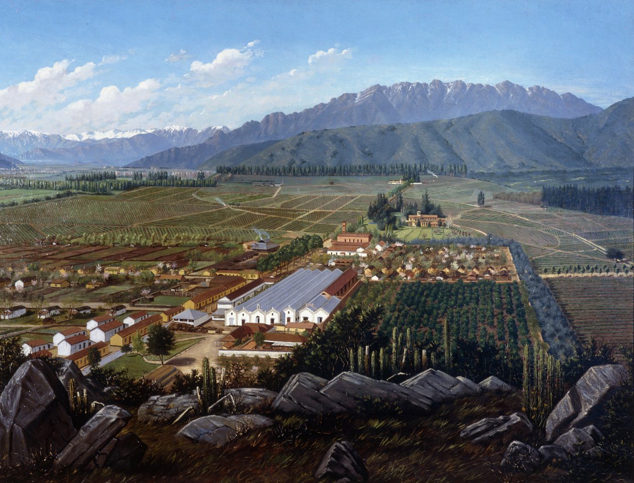 Vineyard of Errazuriz-Panquehue, Chile, 1896 od Daniel Escobar