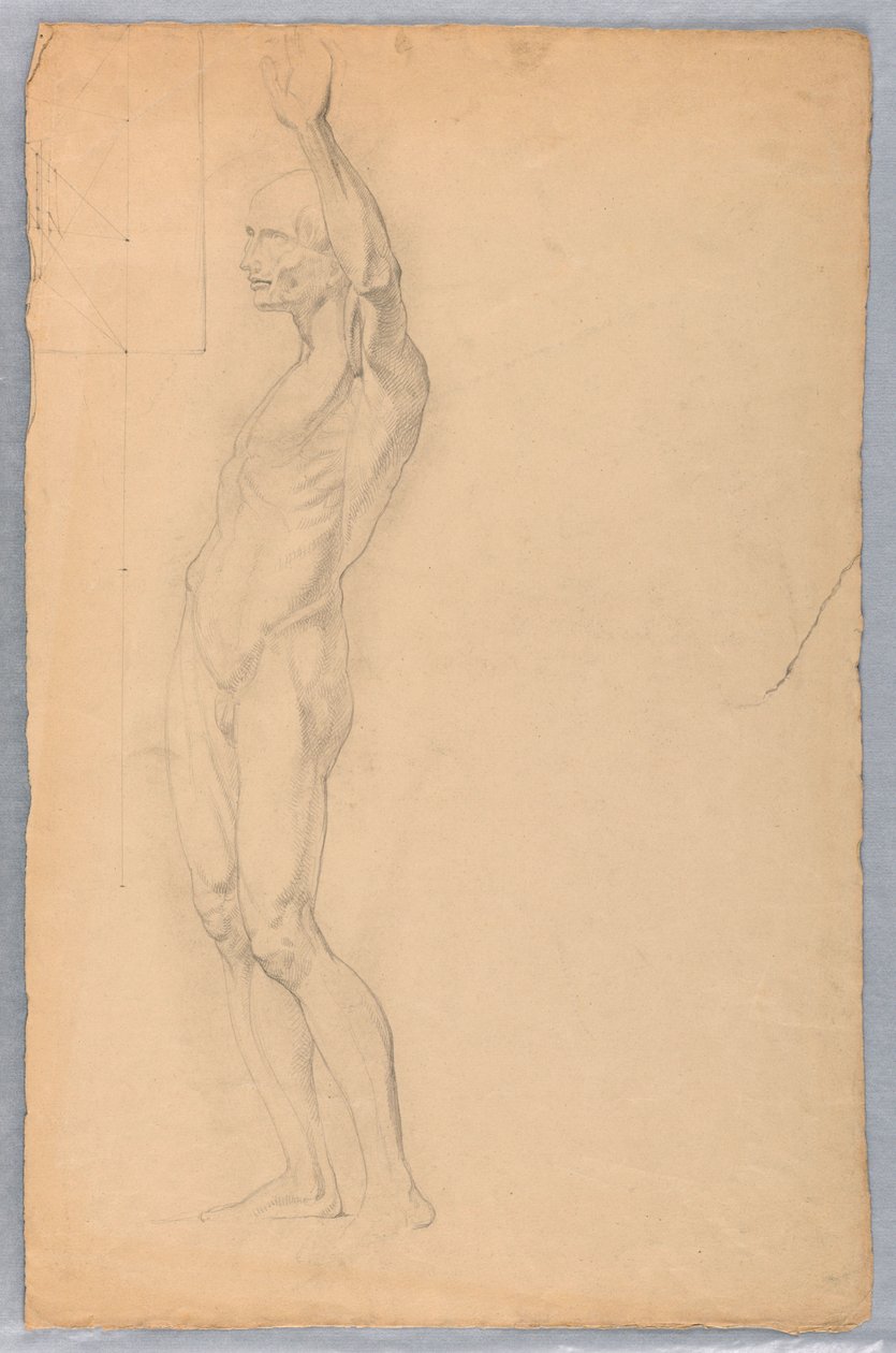 Kresba, Anatomická studie muže, cca 1850 od Daniel Huntington