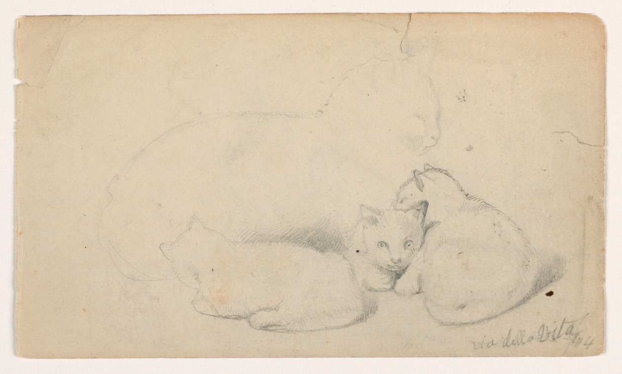 Kresba, Kočka a tři koťata; Verso: Arab sedící a přijímající muže, pravděpodobně podle Davida Robertse, 1844 od Daniel Huntington