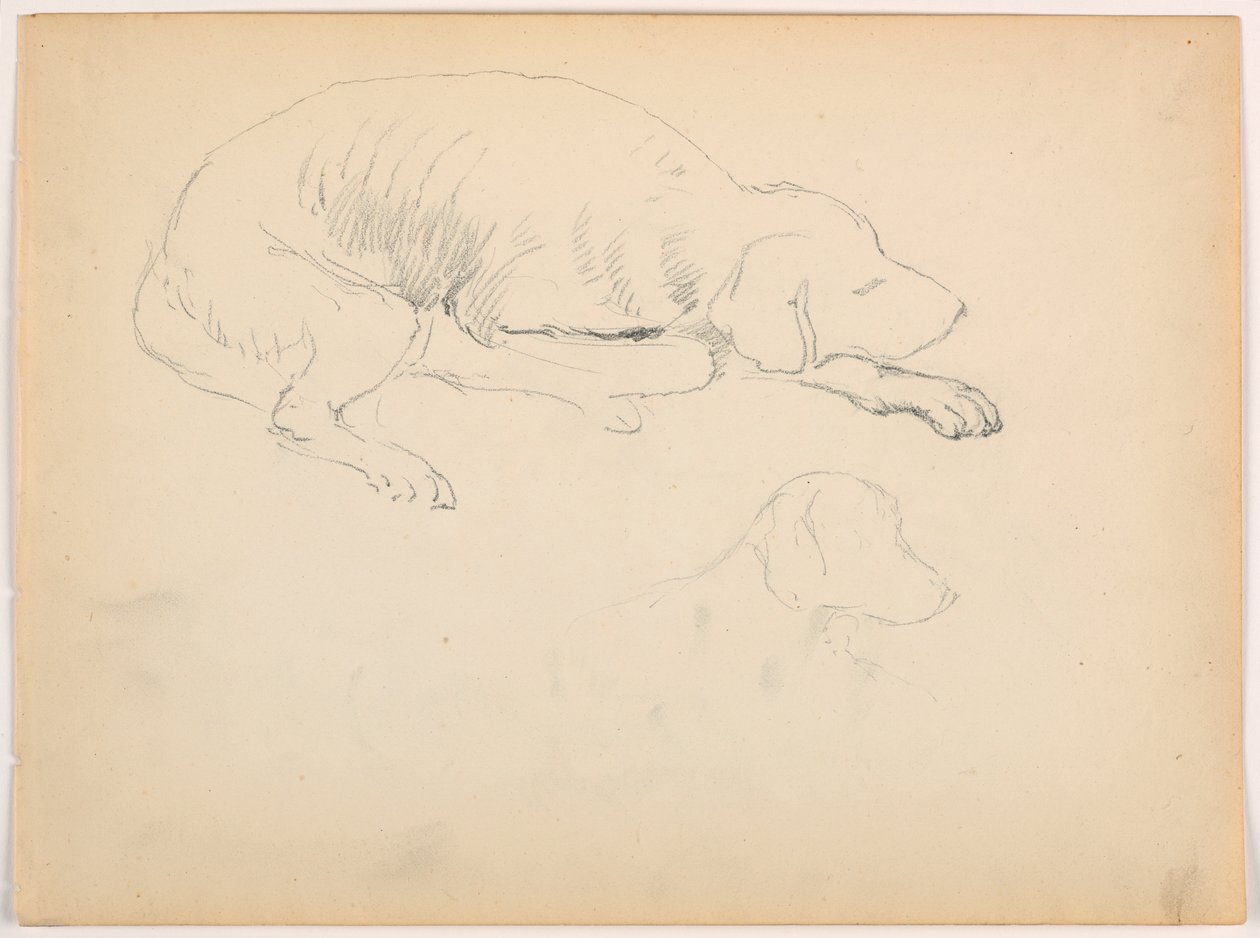 Kresba, Milo (pointer), dvě studie, asi 1862 od Daniel Huntington