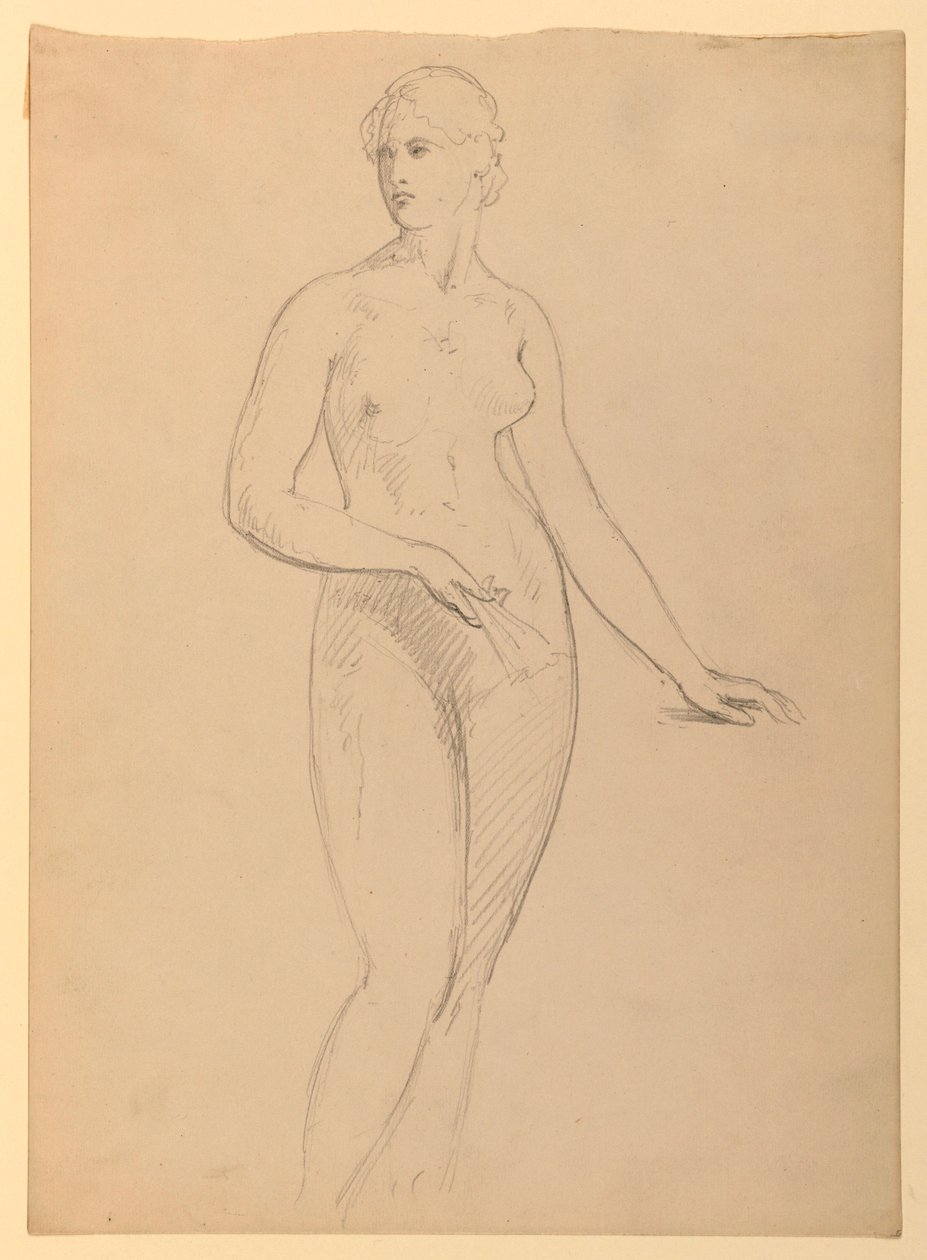Kresba, paní Henry Schieffelin, S, 1881 od Daniel Huntington