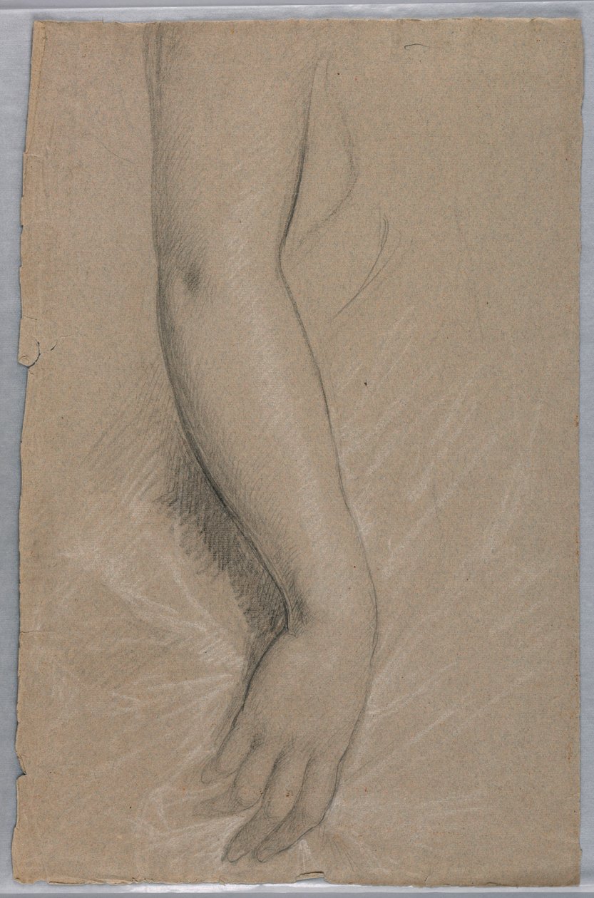 Kresba, paní Rutherford B Hayes,, 1880 od Daniel Huntington