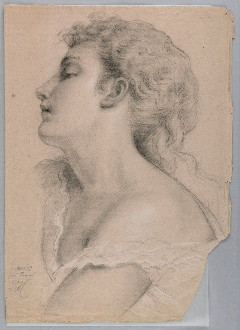 Kresba, studie k filmu Spravedlnost a Pe, 1878 od Daniel Huntington