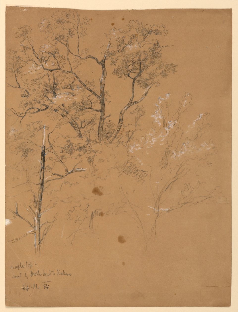 Maple Top na Road to Jackson, New Hampshire od Daniel Huntington