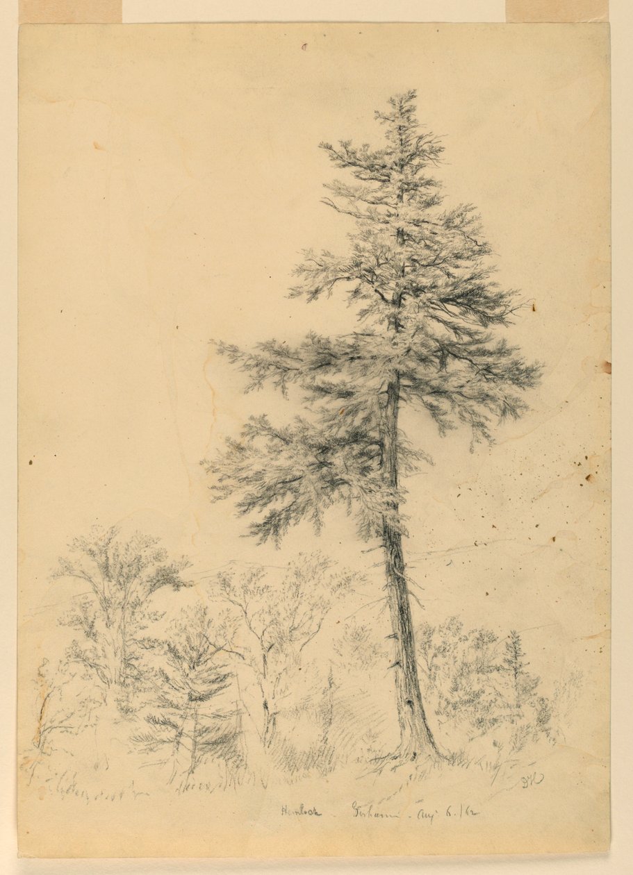 Studie Hemlock, Gorham, New Hampshire od Daniel Huntington
