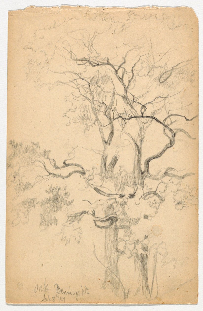 Studie Oaks v Dennings Point od Daniel Huntington