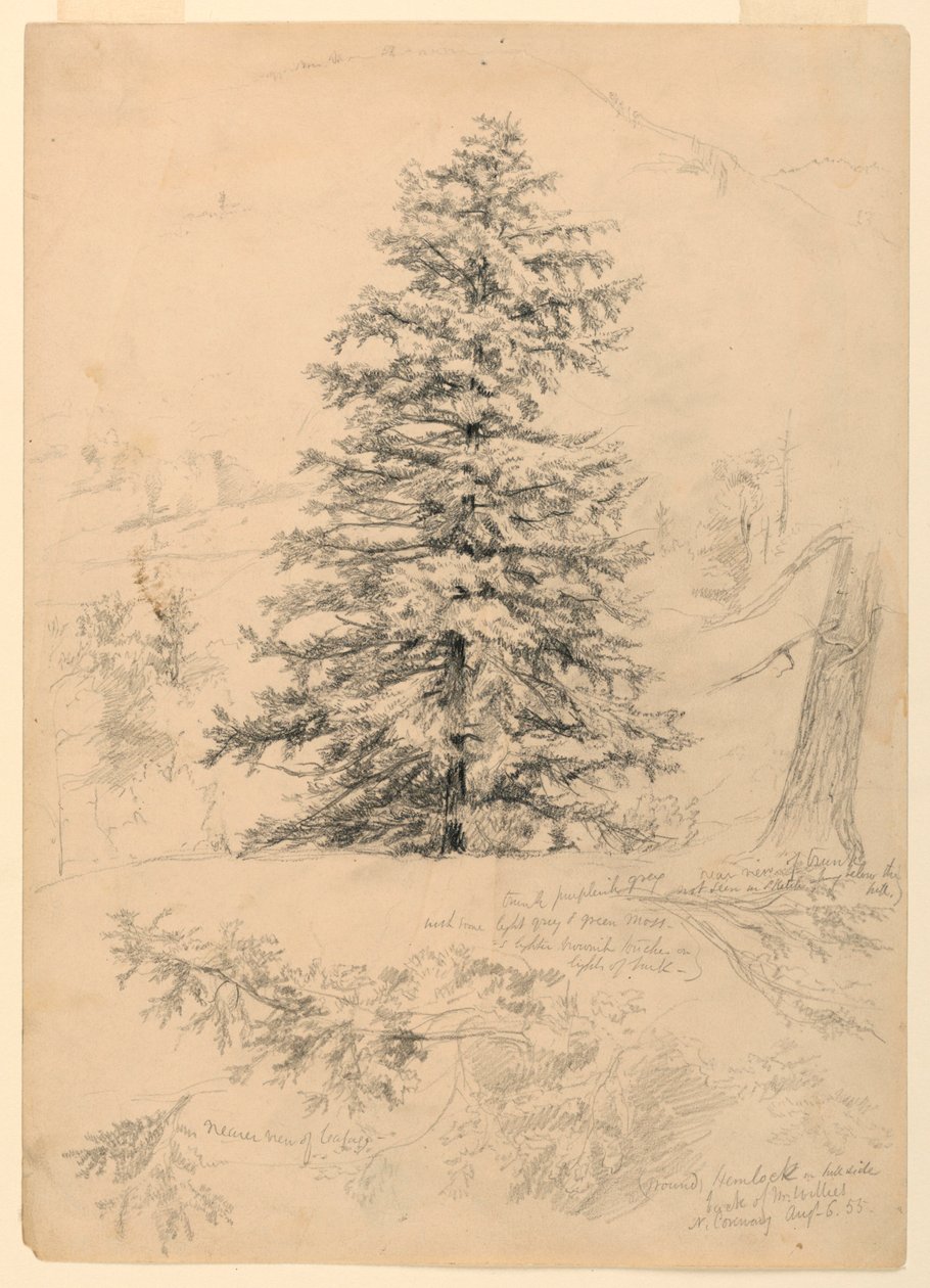 Studie jedlovce, North Conway, New Hampshire od Daniel Huntington