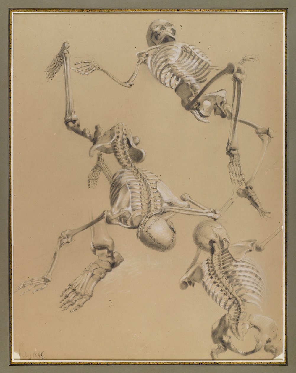 Studie koster, 1848 (křída na papíře) od Daniel Huntington