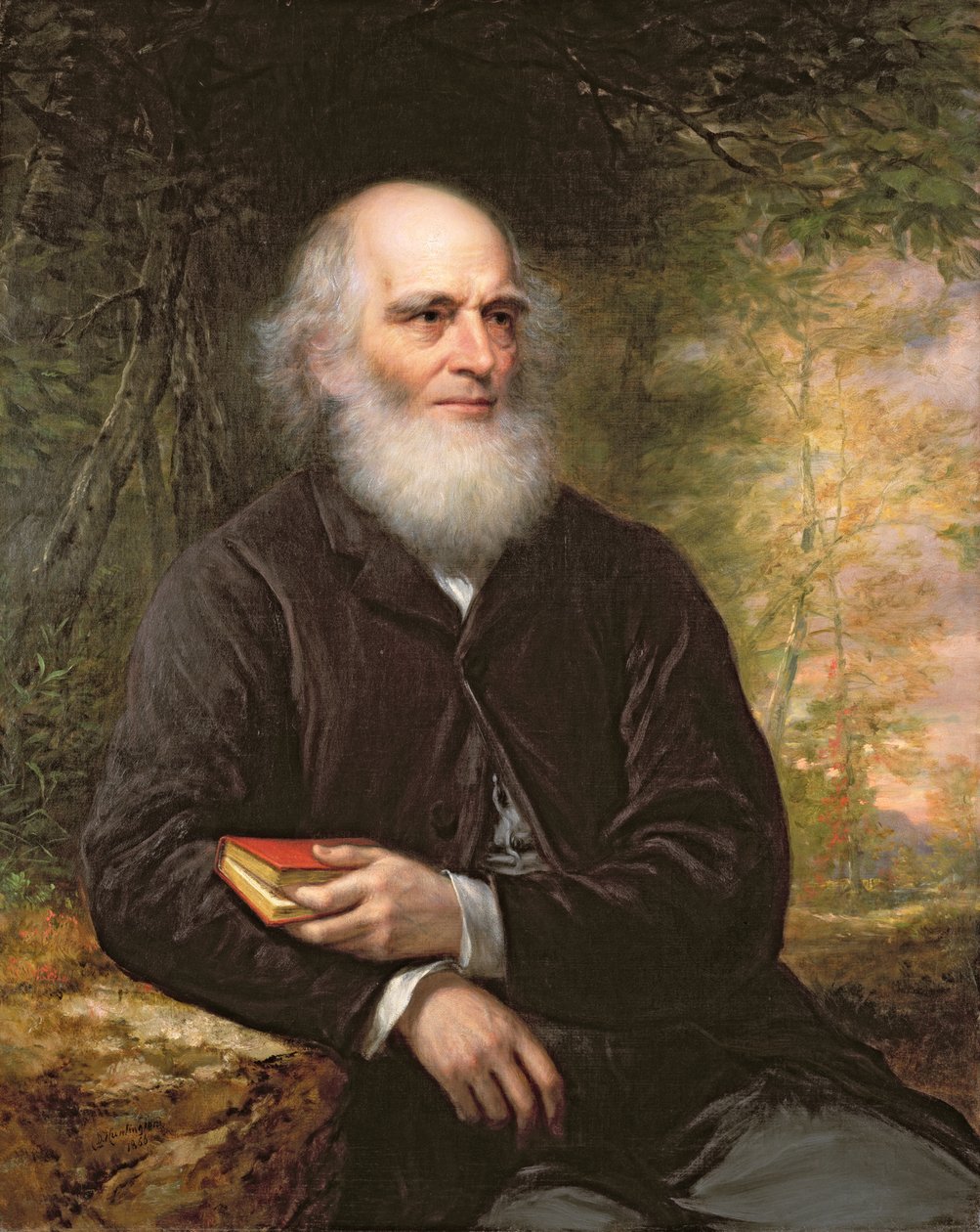 William Cullen Bryant (1794-1878) 1866 (olej na plátně) od Daniel Huntington