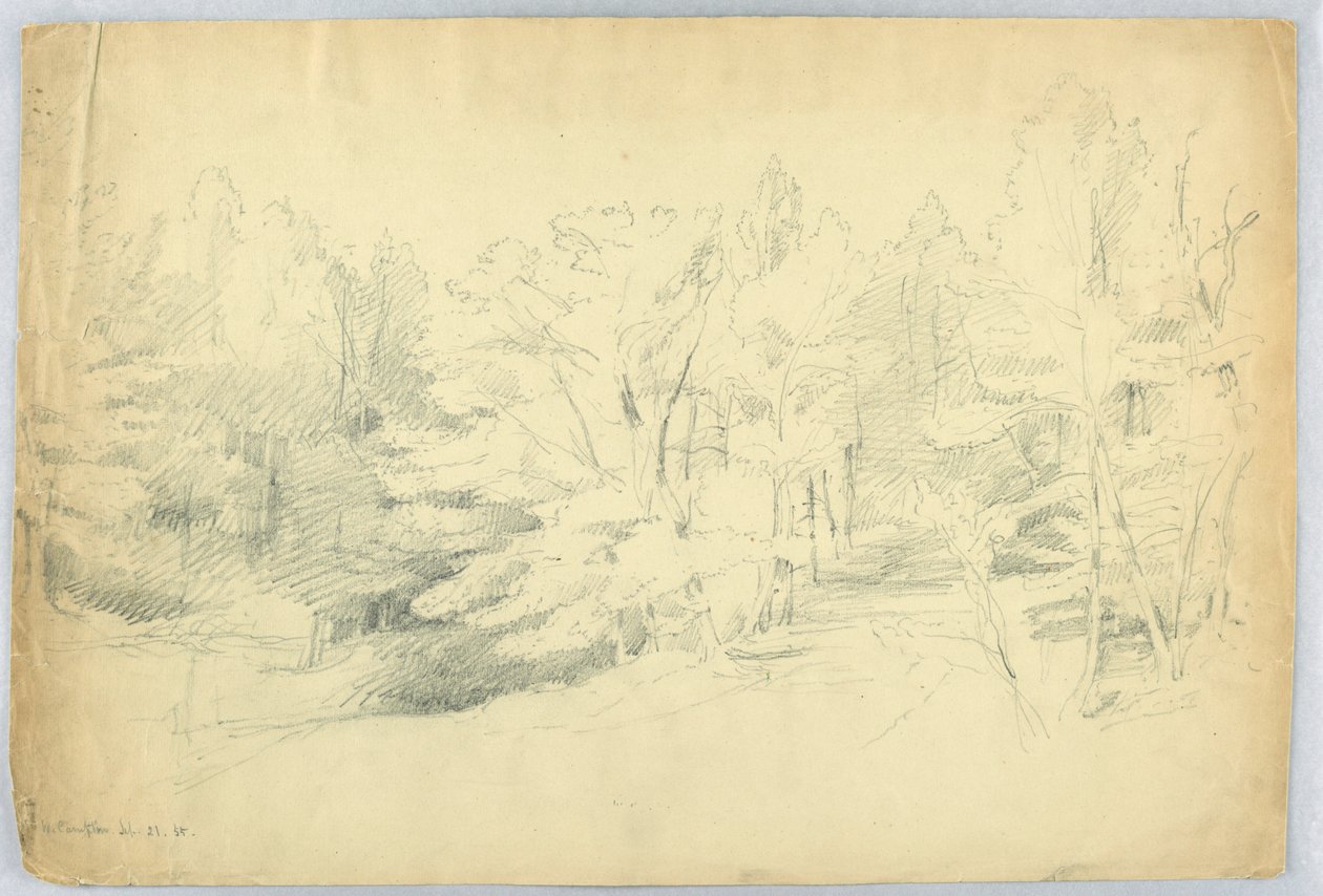 Zalesněná scéna - West Campton, New Hampshire od Daniel Huntington