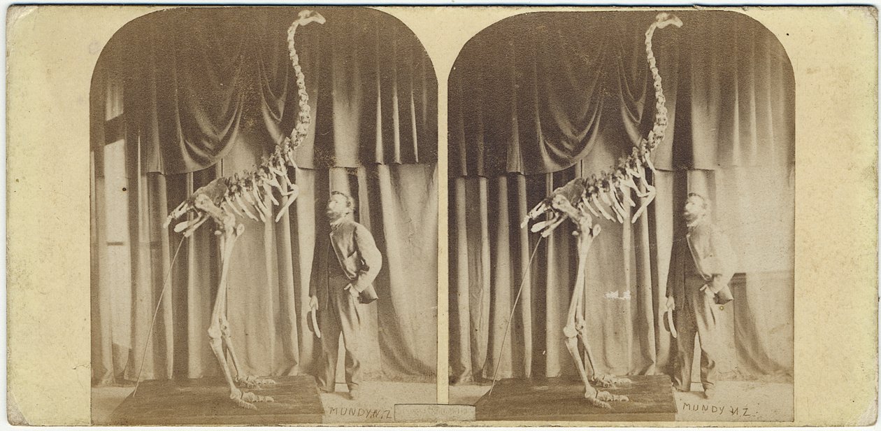 Julius von Haast a Moa, Canterbury Museum, kolem roku 1867 (tisk alba) od Daniel Louis Mundy
