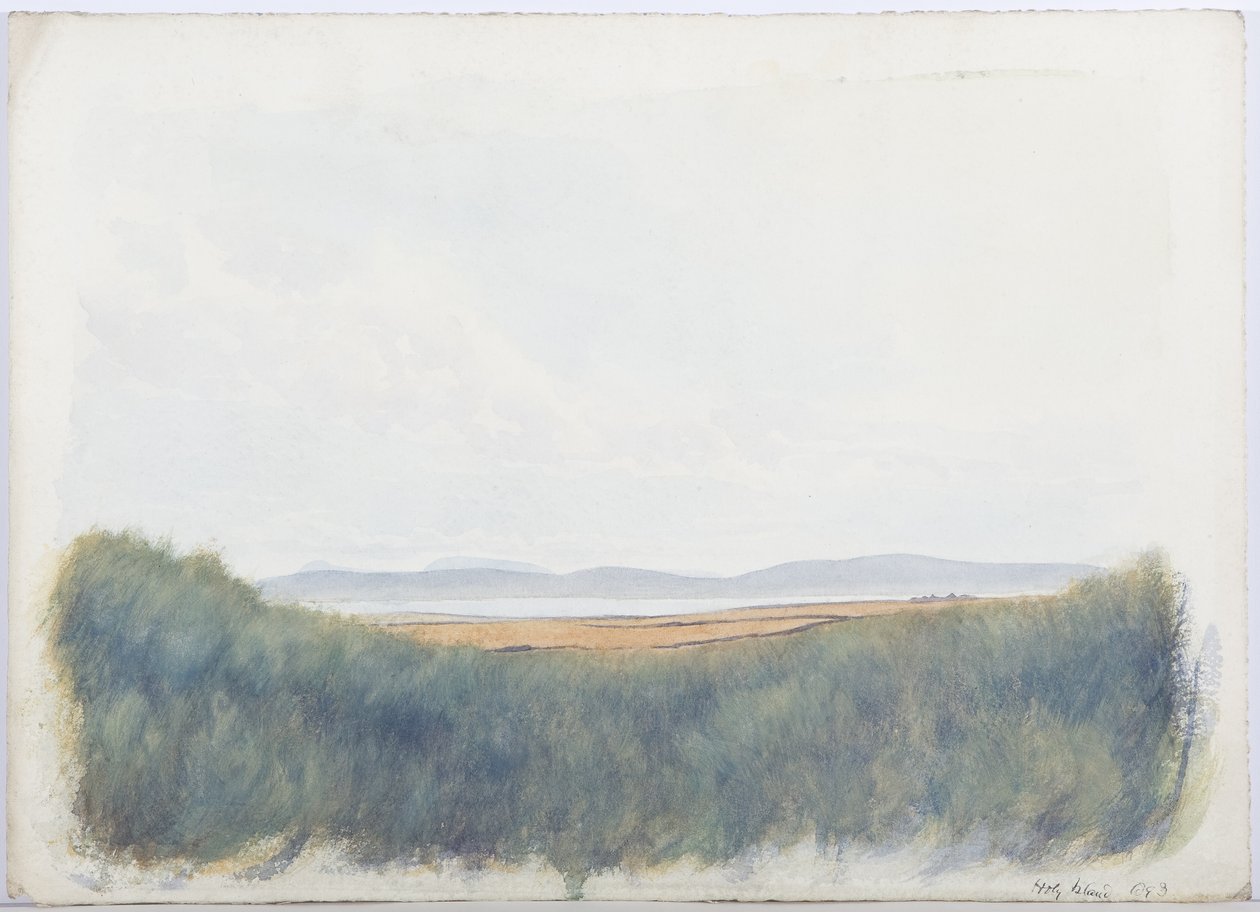 Svatý ostrov, 1893 (tužka a wc na papíře) od Daniel Oliver