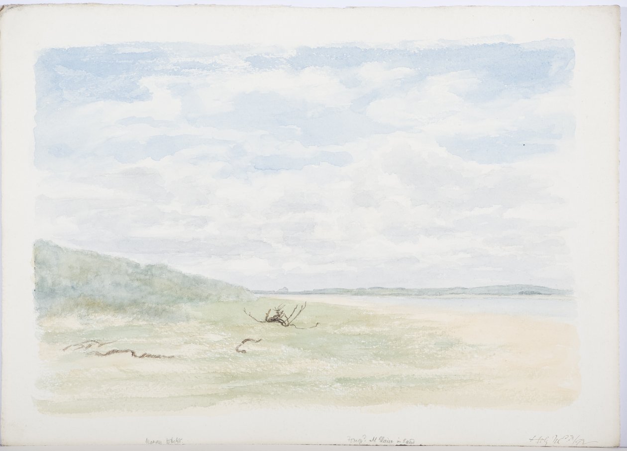 Holy Island, 1899 (tužka a čb na papíře) od Daniel Oliver