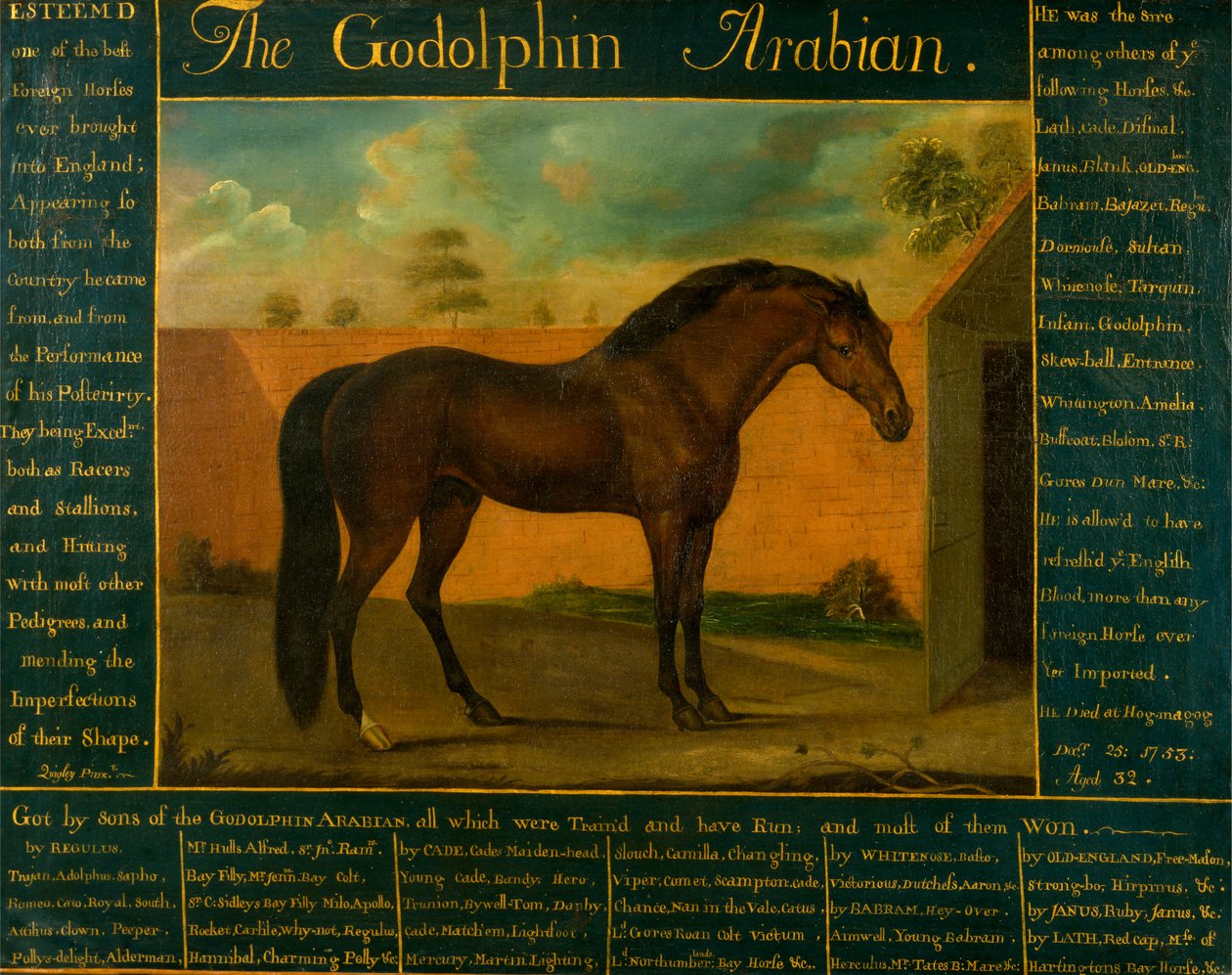 Arabský Godolphin od Daniel Quigley